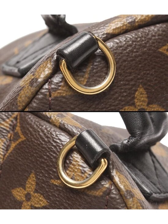 Louis Vuitton Palm Springs Mini Monogram Backpack main image 7